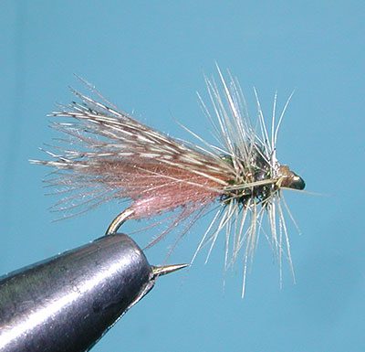 Henry's Fork Caddis, Tan