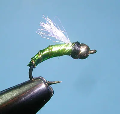 Lexi's TH Holo-ZMidge, Chartreuse