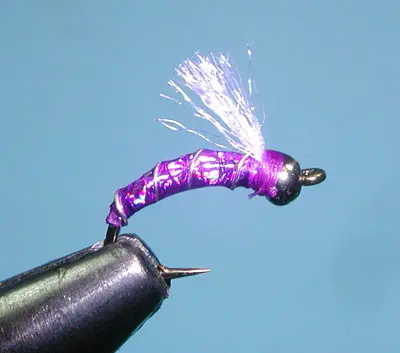 Lexi's TH Holo-ZMidge, Purple