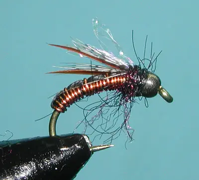 Amber Hot Wire Caddis