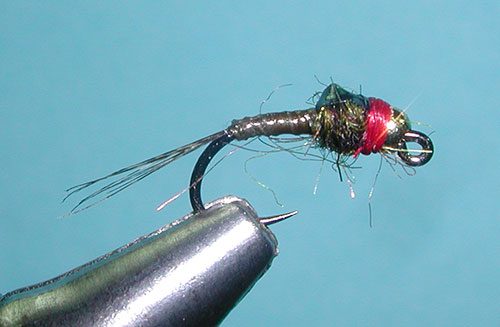 BWO Iron Lotus