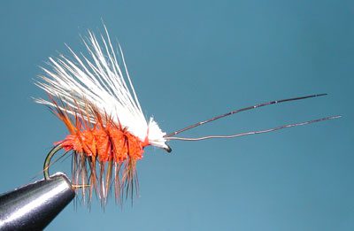 Irresistible October Caddis