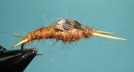 Golden Stonefly Nymph