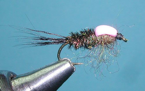 Kern Emerger Pink