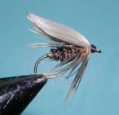 Leadwing Coachman