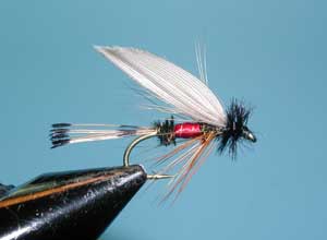 Leadwing Royal Coachman