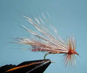 Clark's Little Brown Stonefly