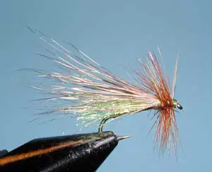 Clark's Little Green Stonefly