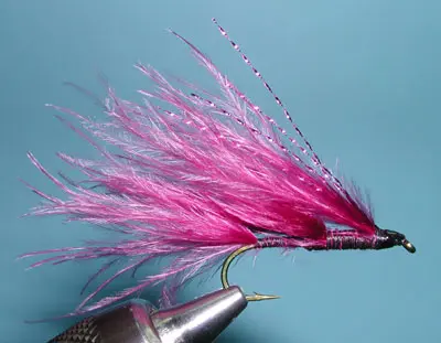 Claret Marabou Leech