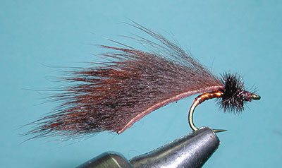 Mayer Mini Leech, Brown