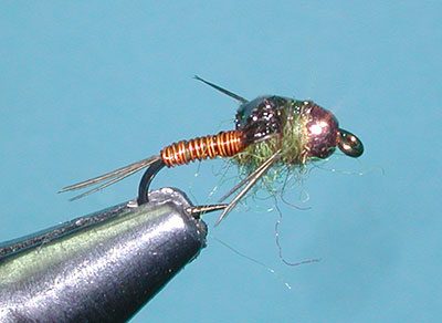 Micro Mayfly, PT