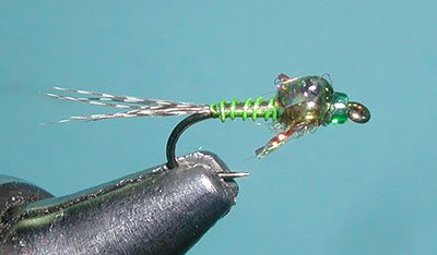 Military Mayfly, BWO