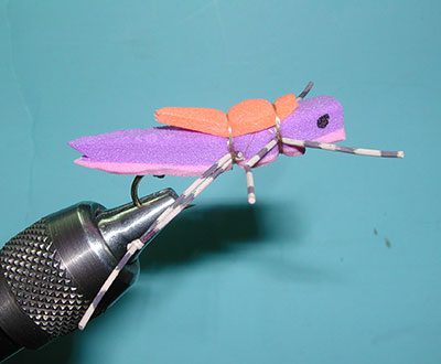 Purple/Pink Morrish Hopper