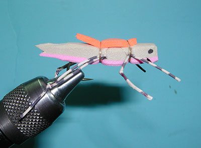 Tan/Pink Morrish Hopper