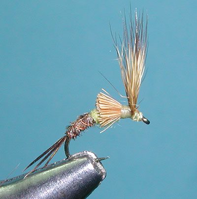 Morris Emerger PMD