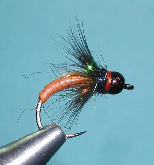 October Caddis Pupa Soft Hackle