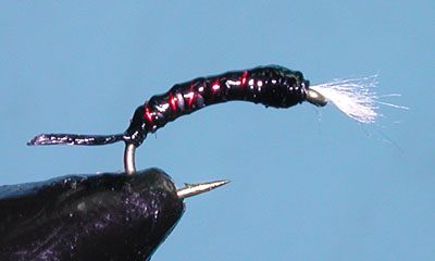 Black Optimidge Pupa, Red/Black