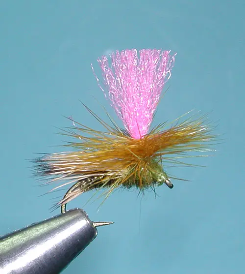 Bloom's Parachute Caddis, Olive Brown