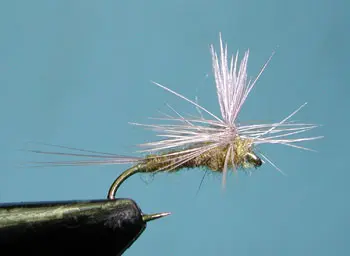 BWO Parachute Dun