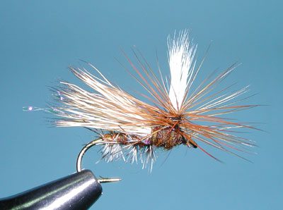 Sloans Caddis Paralyzer, Olive