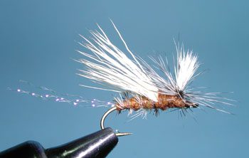 Olive Caddis Paralyzer