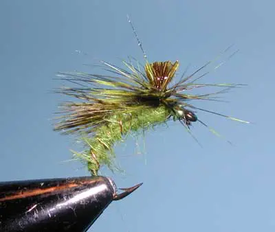 Partridge Caddis Emerger