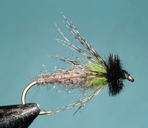 Peeking Caddis, Green