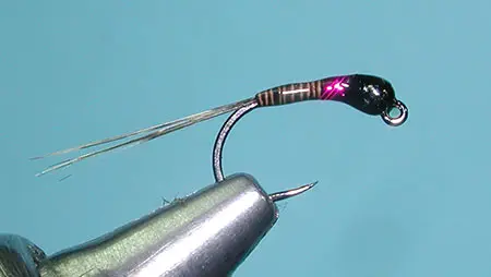 Perdigon Quill & Fushia Jig