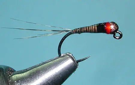 Spanish Bullet Quill Jig