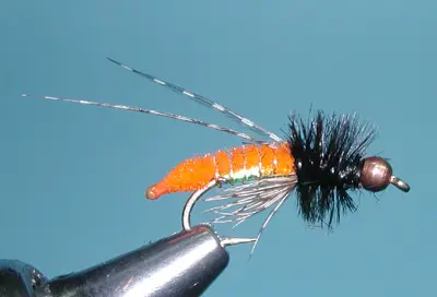 BH October Caddis Poopah