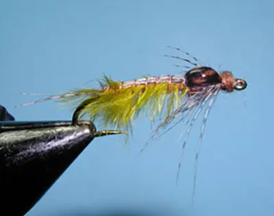 Poxyback Nymph Green Drake