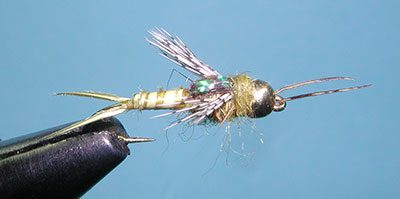 Poxyback Micro Stonefly, Light