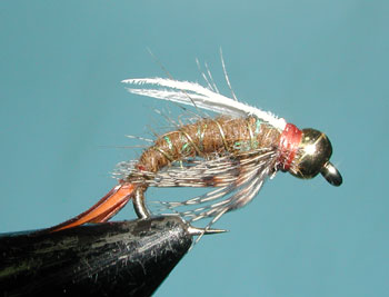 King Prince Nymph