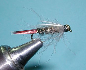 CDC Prince Nymph