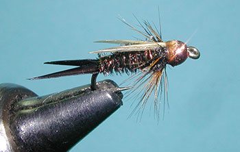 Fred Gordon's Prince Nymph