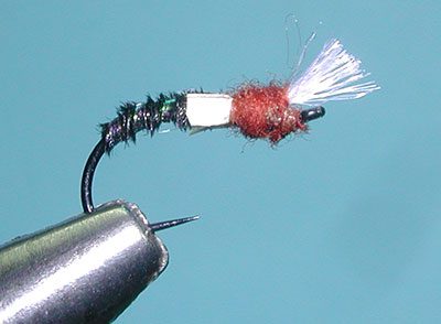 Pheasant Tail Midge Pupa