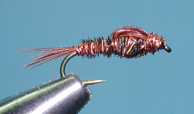 Pheasant Tail Nymph