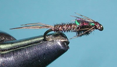 Flashback Pheasant Tail Nymph