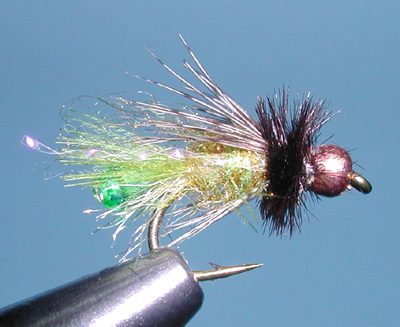 Green Radical Caddis