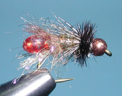 Brown Radical Caddis