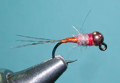 Rainbow Warrior Copper