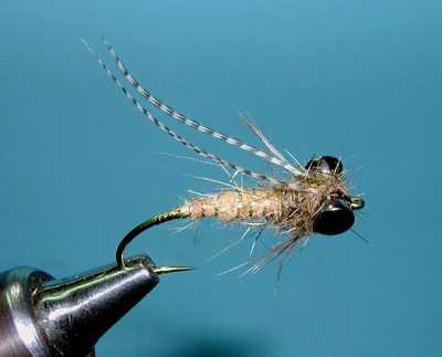 October Caddis Pupa, RFSN