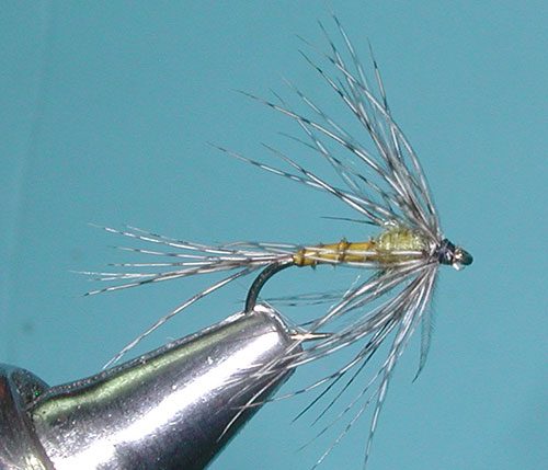 RP Emerger