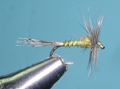 RP Biot Emerger, Olive