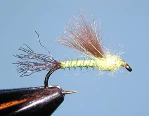 CDC Emerger PMD