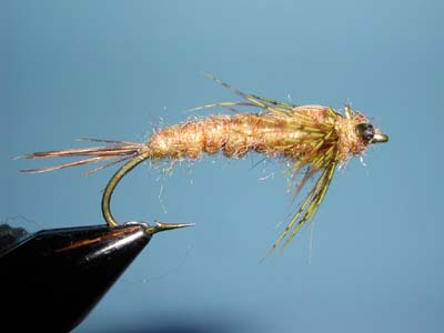 Schmidt's Hex Nymph