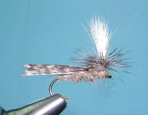 Schroeder's Parachute Caddis