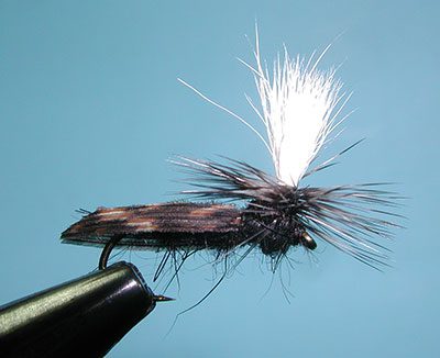 Schroeder's Parachute Caddis, Black