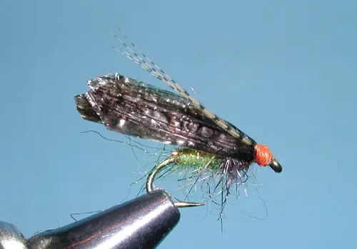 Scuba Caddis, Dark Dun