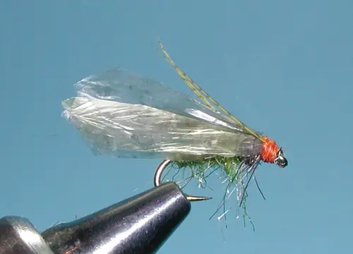 Scuba Caddis | Fly Fishing the Sierra